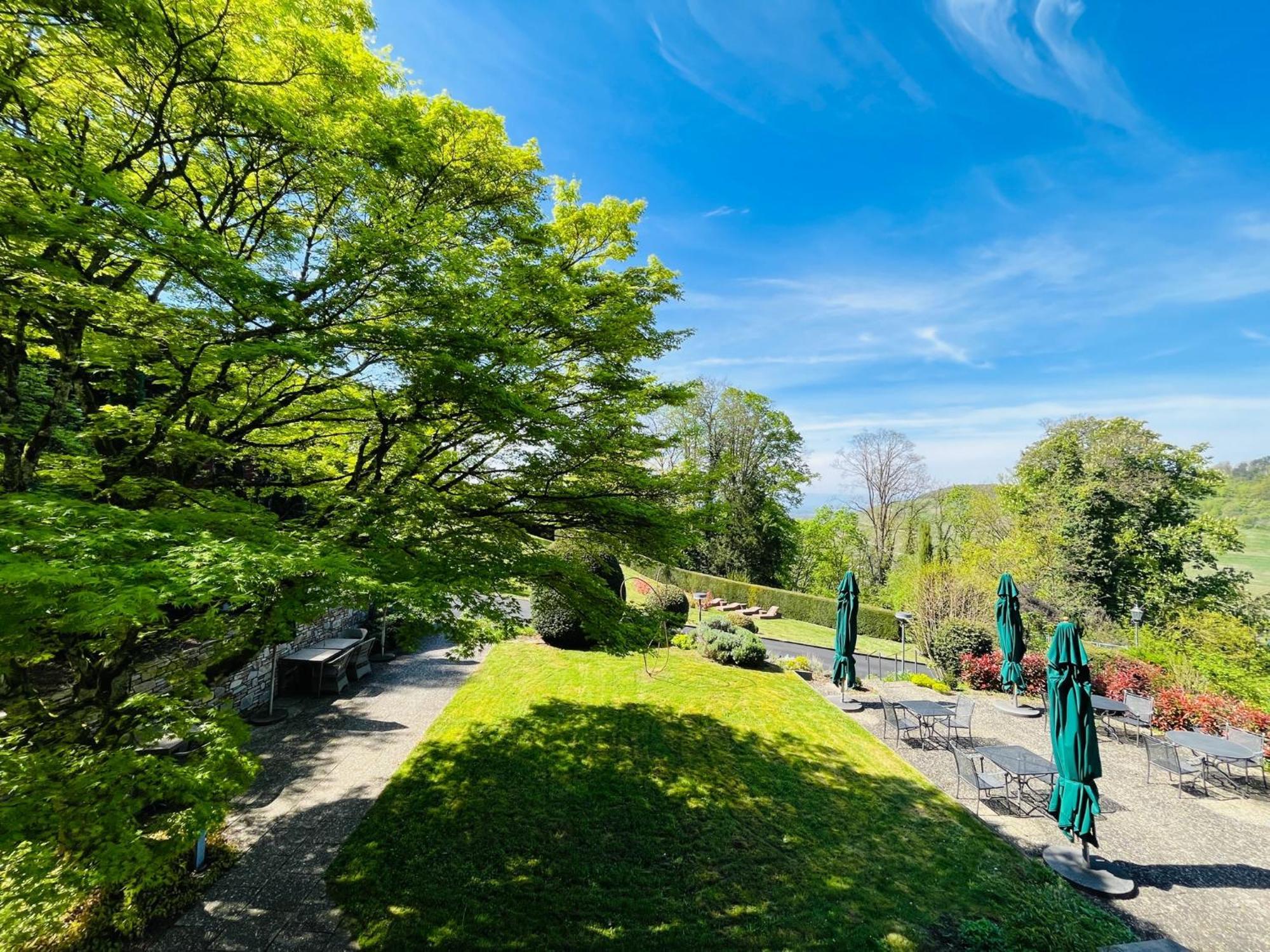 Hotel Schlossberg Баденвайлер Экстерьер фото