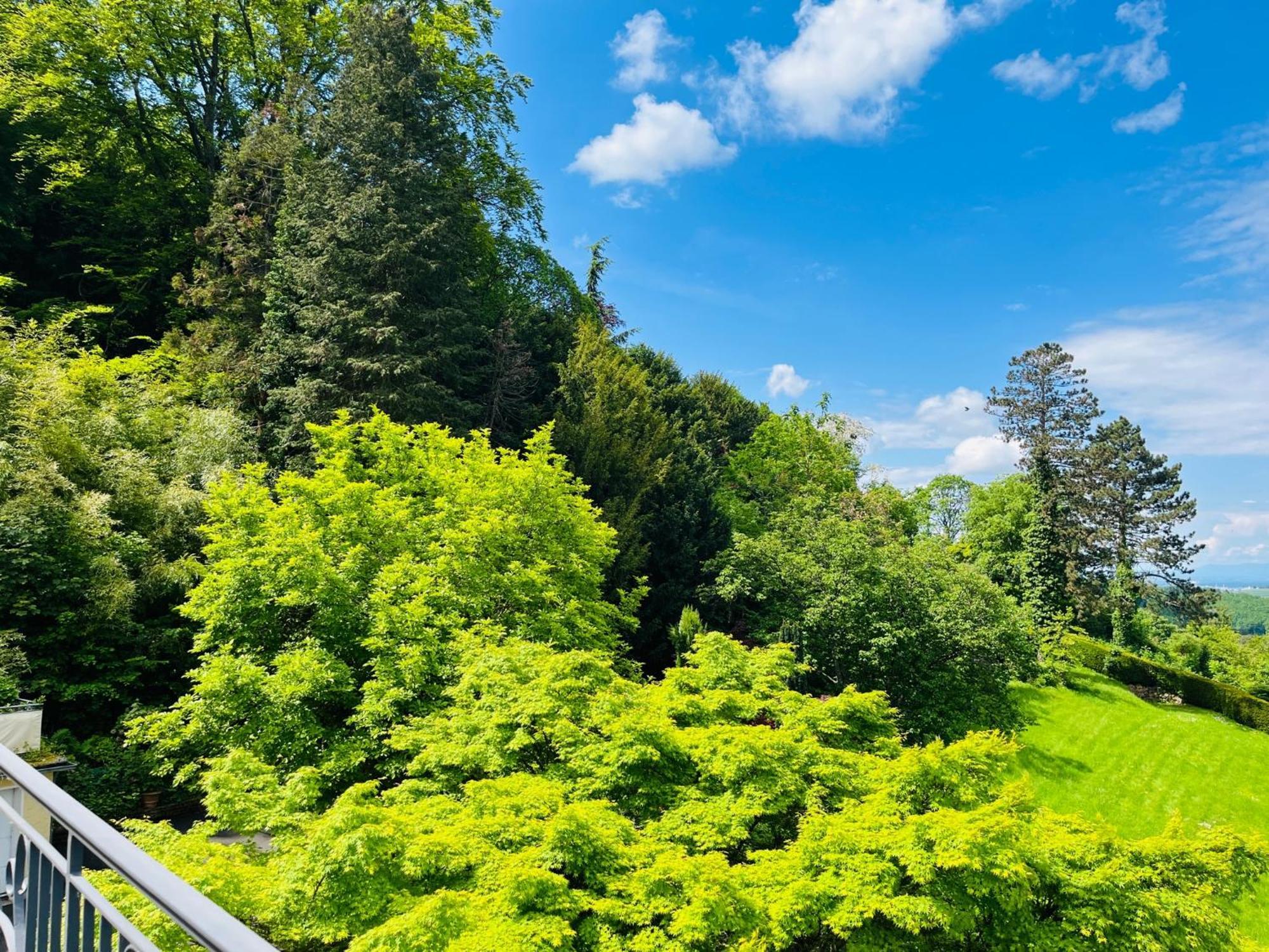 Hotel Schlossberg Баденвайлер Экстерьер фото