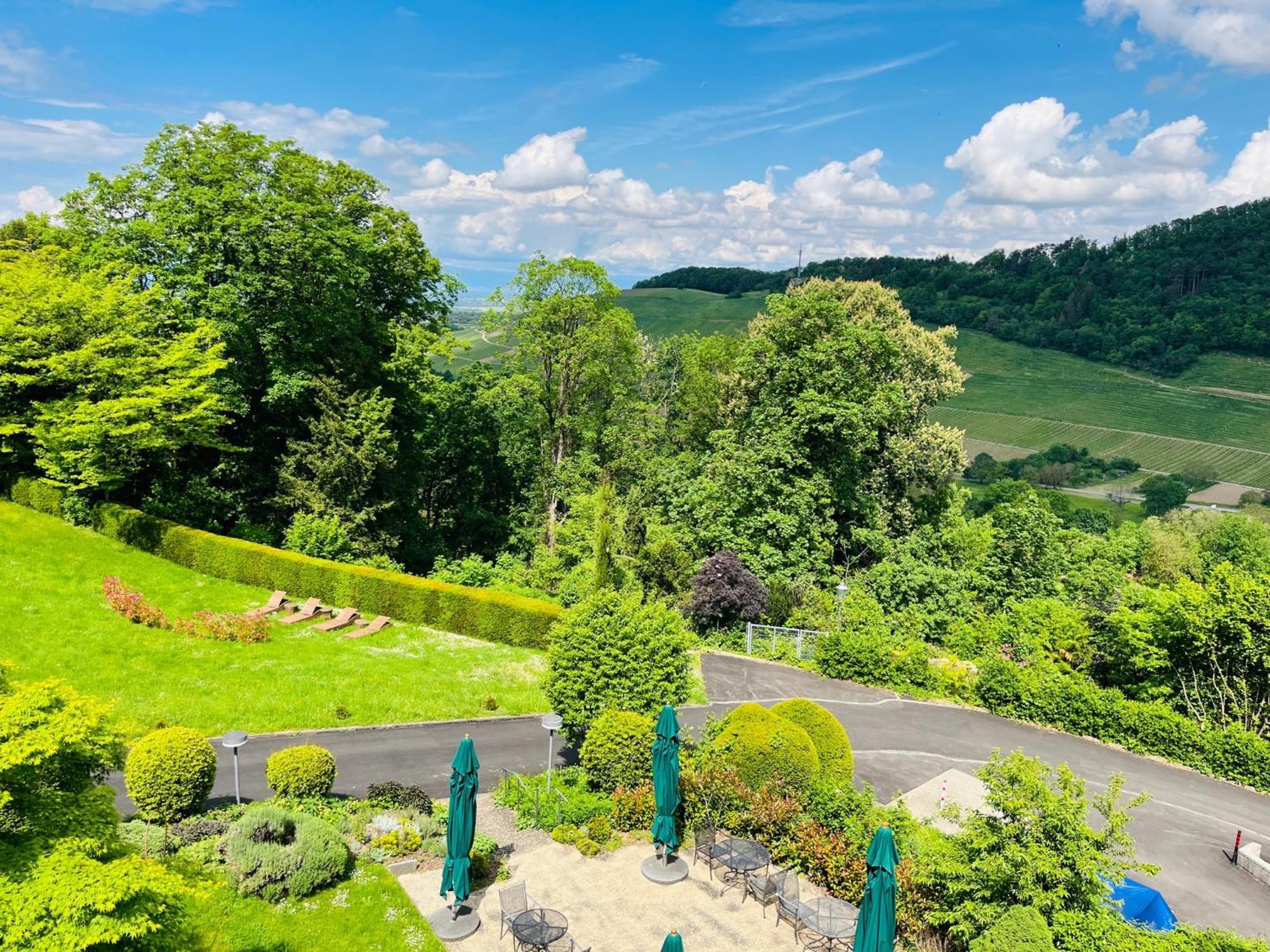 Hotel Schlossberg Баденвайлер Экстерьер фото